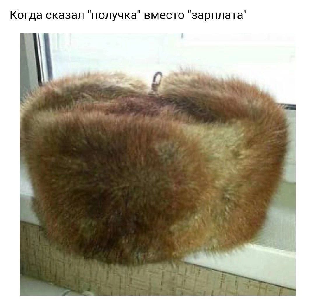 Когда сказал получка вместо зарплата