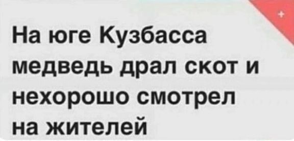 На юге Кузбасса медведь драл скот и нехорошо смотрел на жителей