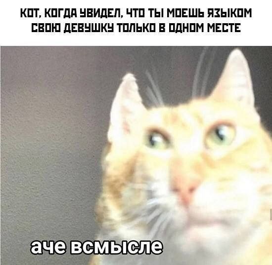 КШ КПП НИЩ ЧТП ТЫ МПЕШЬ ЯЗЫКПМ ПЕШП ЛЕВНШКН ТПЛЬКП ПШПМ МБШ аче всМысле