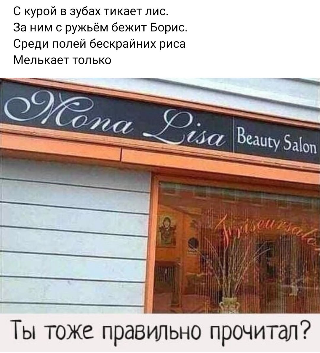 с Курой зубах тикает пис За ним с ружьём бежит Борис Среди полей бескрайних риса Мелькает только Ты тоже правильно прочитал