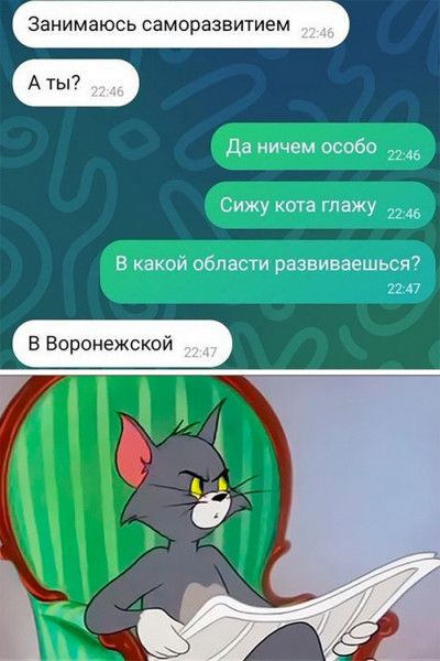 НИМ Ь саморазвитием Да ничем особо и Сижу кт глажу 22345 В какой области рванина