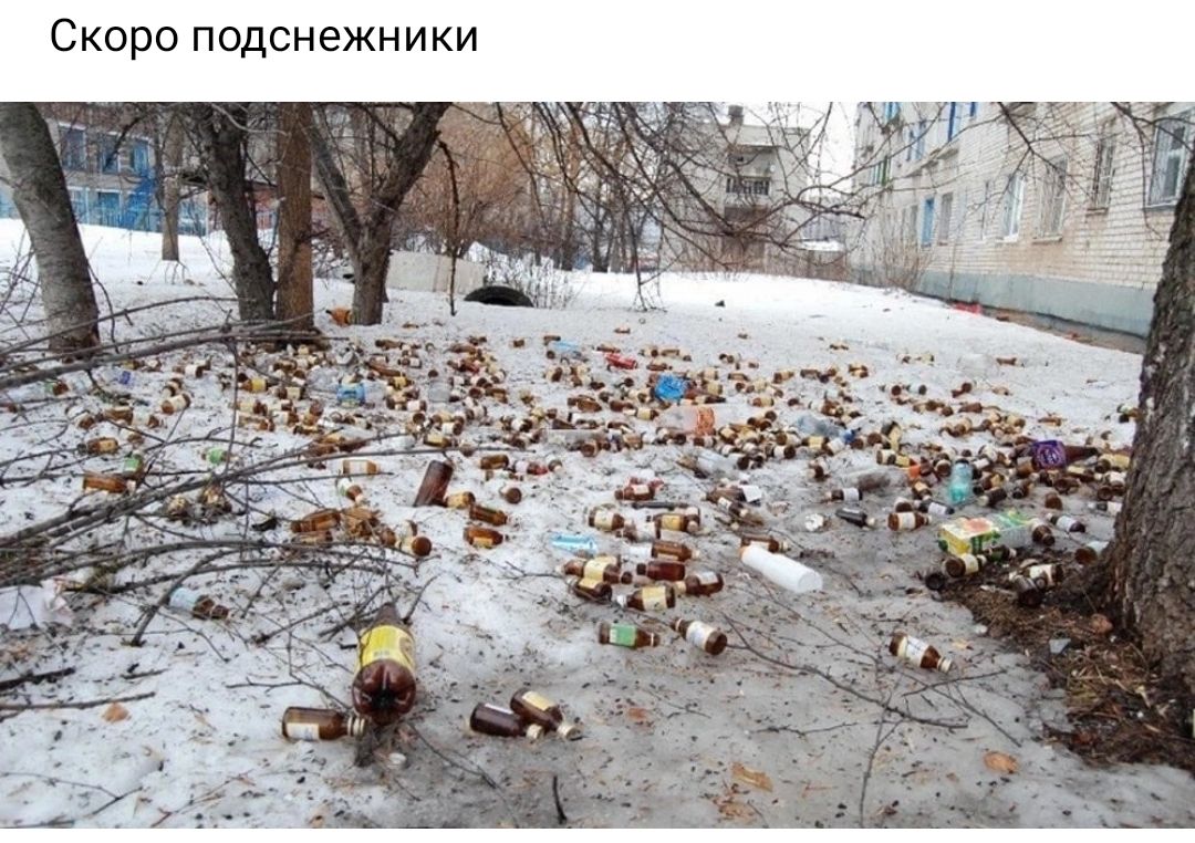 Скоро подснежники