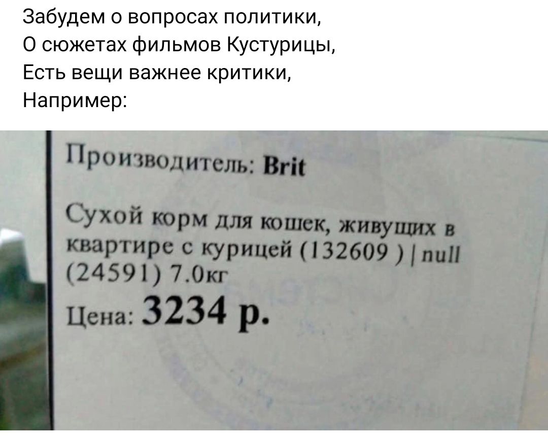 Забудем о вопросах политики 0 сюжетах фильмов Кустурицы Есть вещи важнее критики Например