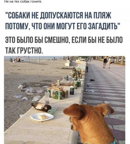 БПБАКИ НЕ ЛОПУВКАЮТВП Нд ПЛЯЖ ППТПМУ ЧТП 0НИ МОГУТ ЕП ЗАПЩИТЬ ЭТП БЬШП БЫ ВМЕШНП ЕСЛИ БЫ НЕ БЫЛП ТАК ГРУПТНП