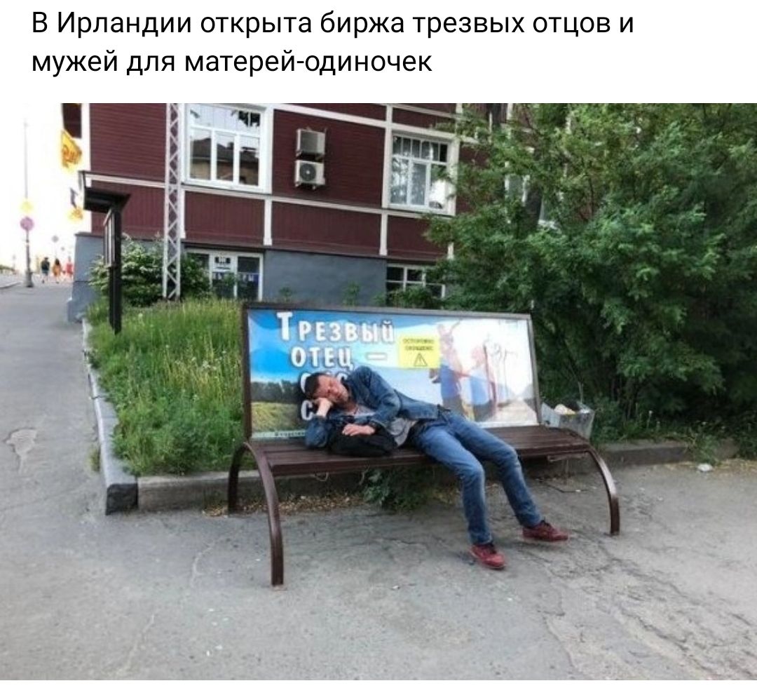 в Ирландии открыта биржа трезвых отцов и мужей для матерейгодиночек