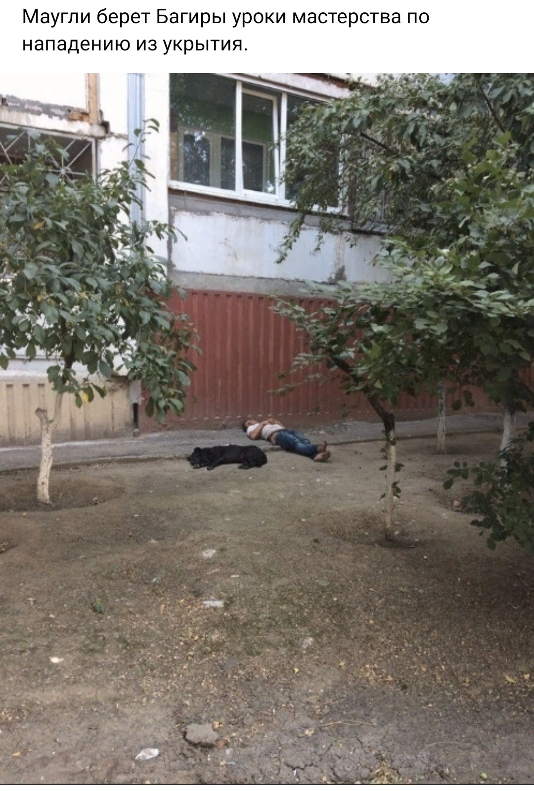 Маугли берет Багиры уроки мэсгерства по нападению из укрытия