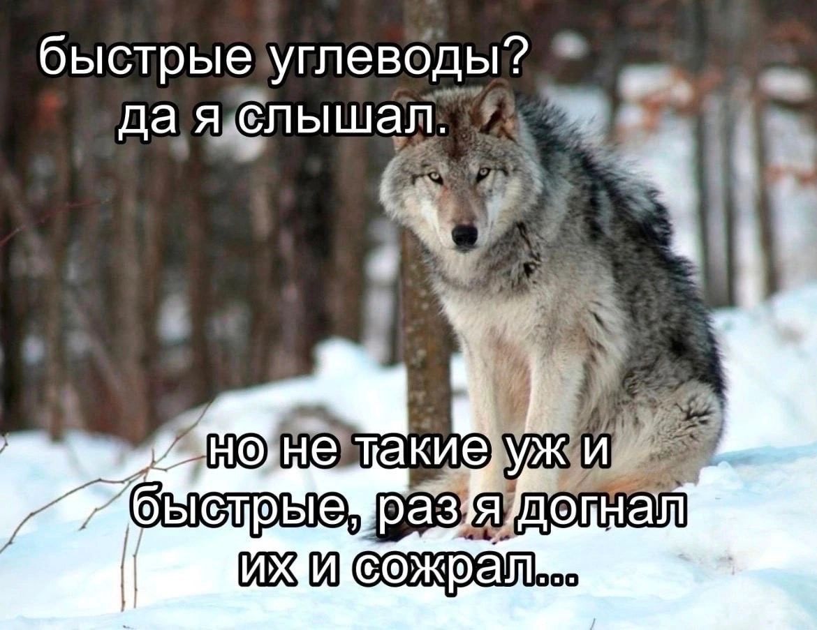 быстрые углеводы7 да яЁпышап 6 шить