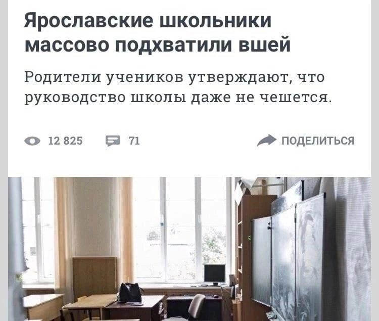Ярославские школьники массово подхватили вшей Родители ученикпв утверждают что руководство шкалы даже не чешется 0 шт 5 71 ппдвпитьсп