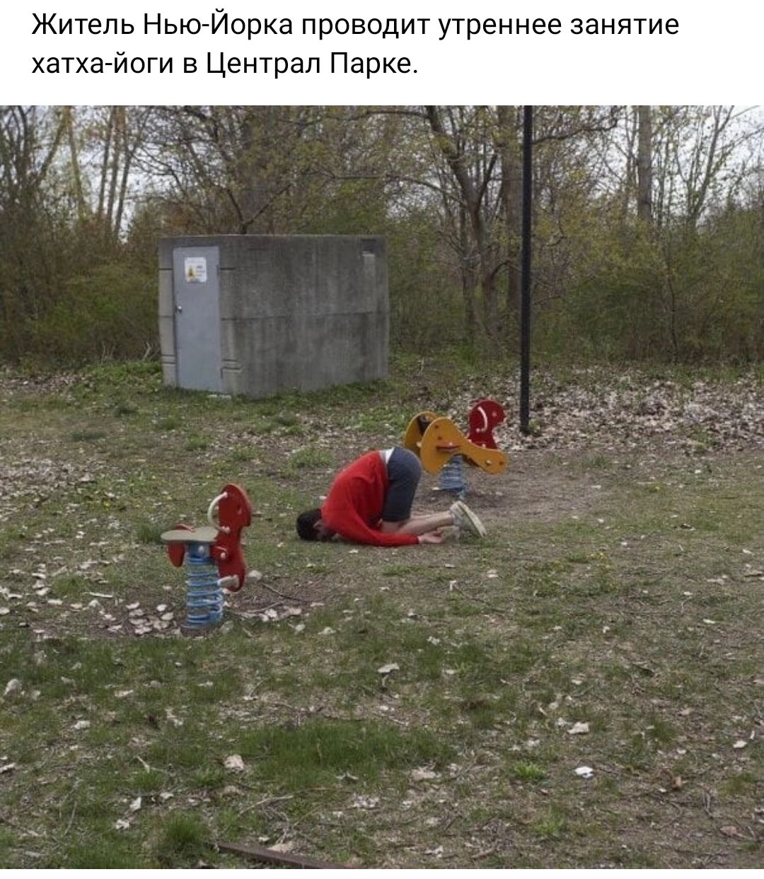 Житель Нью Йорка проводит утреннее занятие хатхагйоги в Централ Парке