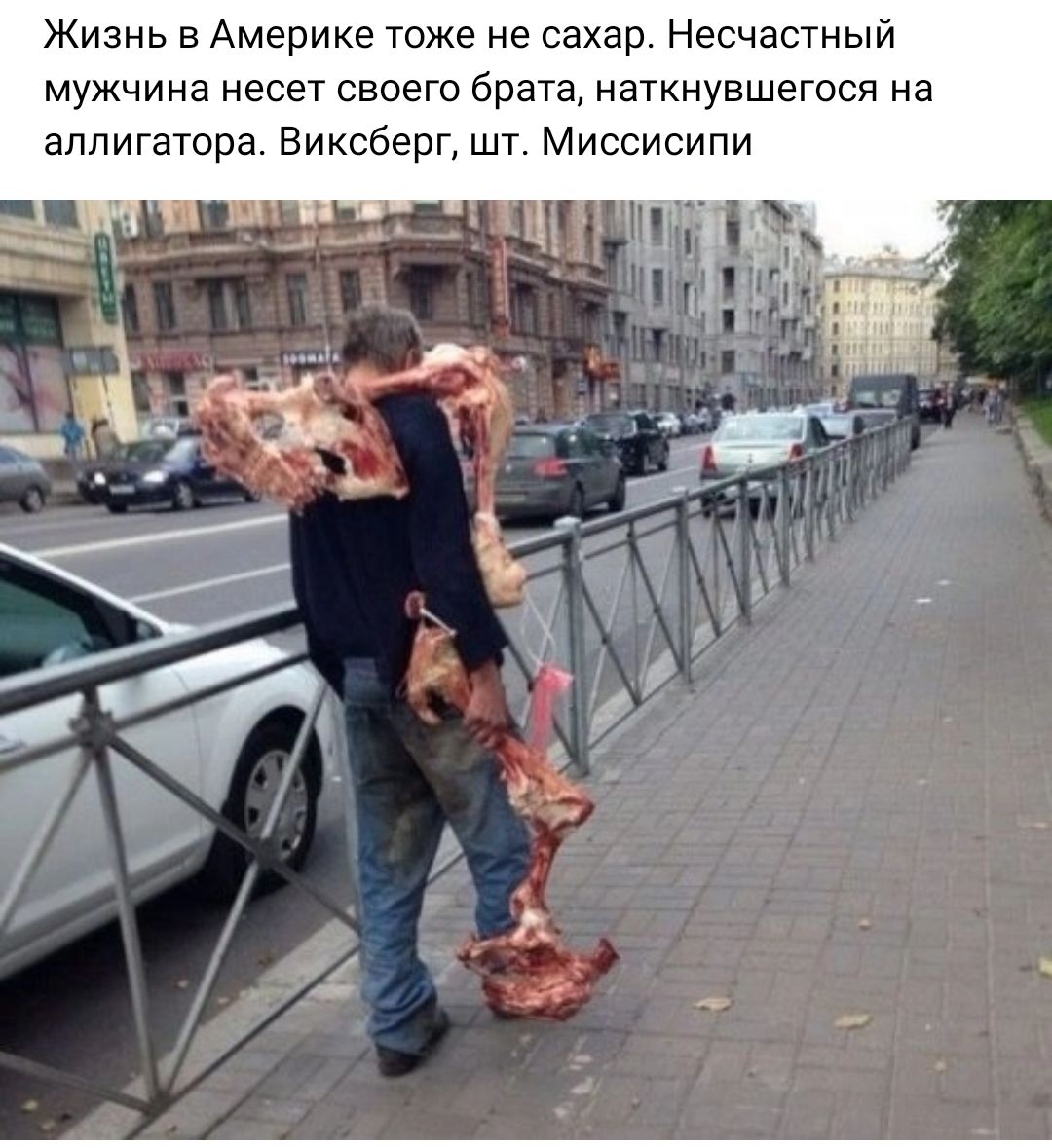 Жизнь в Америке тоже не сахар Несчастный мужчина несет своего брата наткнувшегося на аллигатора Виксберг шт Миссисипи