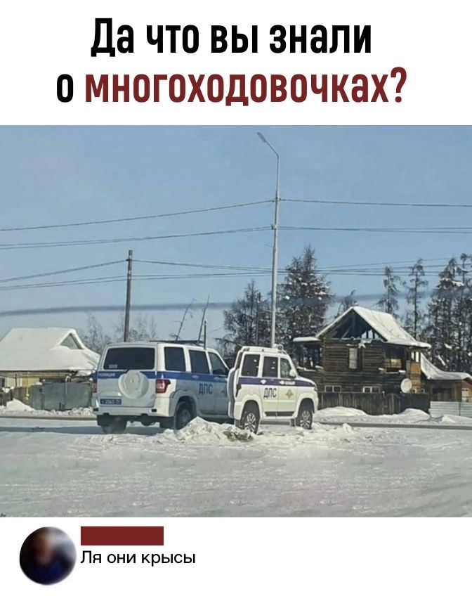 Да что вы знали о многоходовочках Пп они крысы