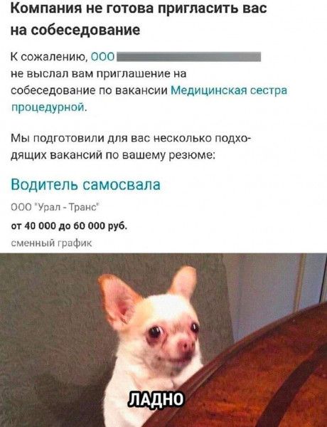 Компания не готсва пригласить вас на собеседование К сожалению 000 _ не выслал вам приглашеиие на собеседование по вакансии Медицинская веста пасмурной Мы подгыивили для вы несколько подхо дящих вакансий по вашему резюме Водитель самосвала 000 Уаз Тпаиб вгдотдиюиот онный риф