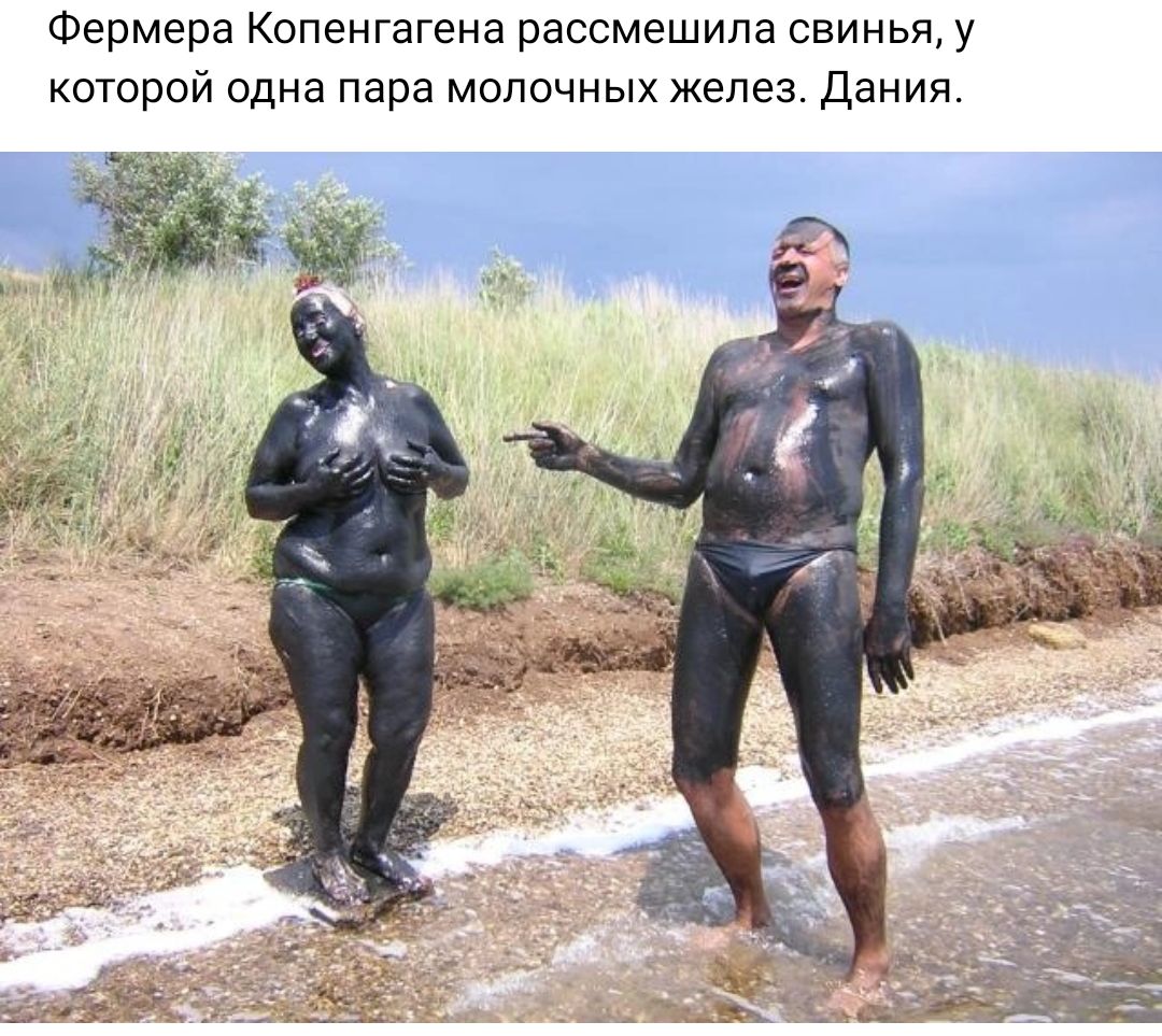 Фермера Копенгагена рассмешипа свинья у которой одна пара молочных желез Дания