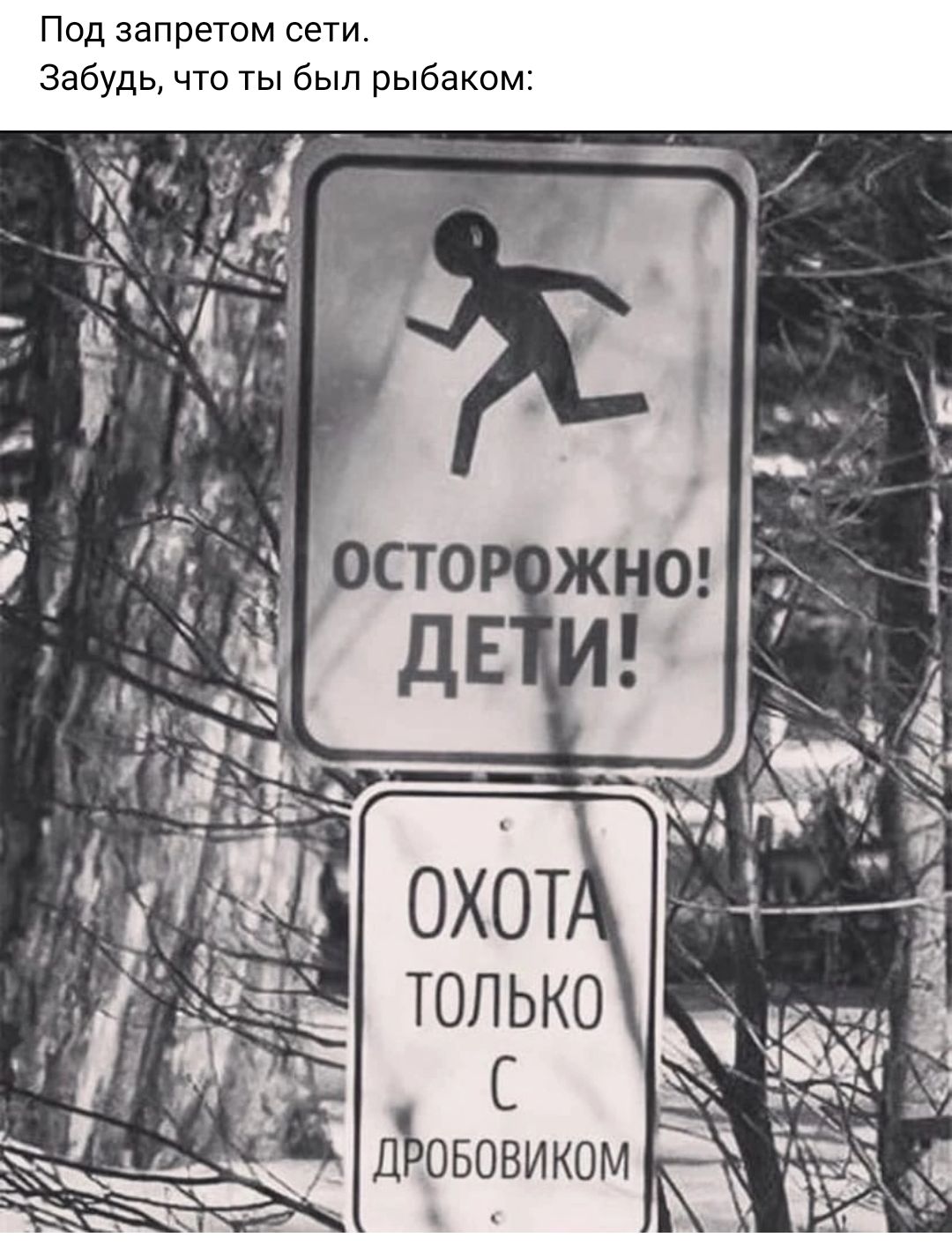 ПВД ЗЗПРЕТОМ СЕТИ Забудь что ты был рыбакам