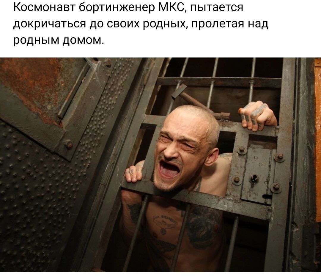 Космонавт бортинженер мкс пытается докричаться до своих родных пролетая над родным домом