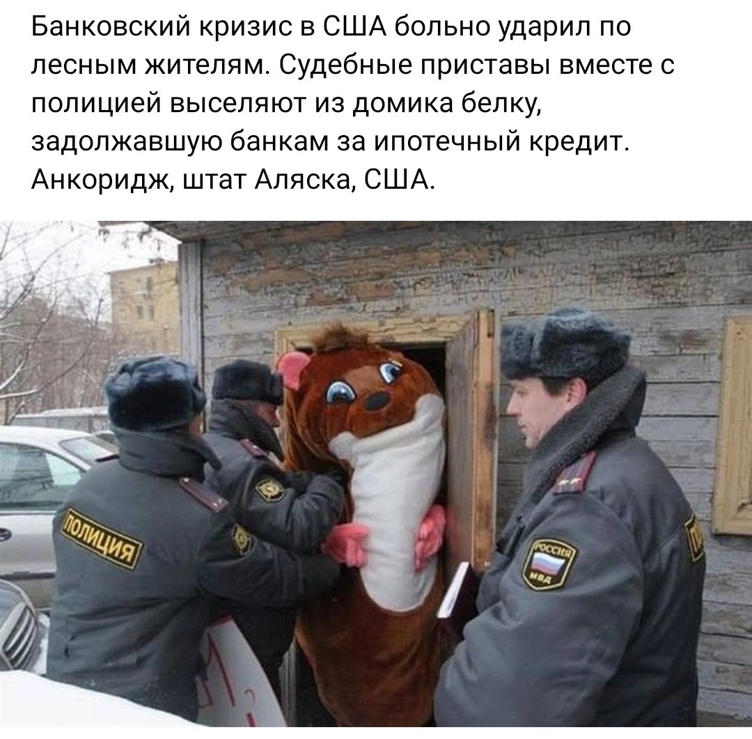Банковский кризис в США больно ударил по лесным жителям Судебные приставы вместе е полицией выселяют из домика белку задолжавшую банкам за ипотечный кредит Анкоридж штет Аляска сшд