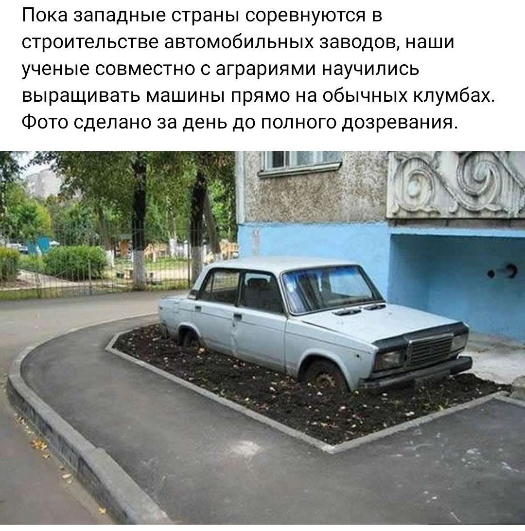 Пока западные страны соревнуются в строительстве автомобильных заводов наши ученые совместно с аграриями научились выращивать машины прямо на обычных клумбах Фото сделано за день до полного дозревания
