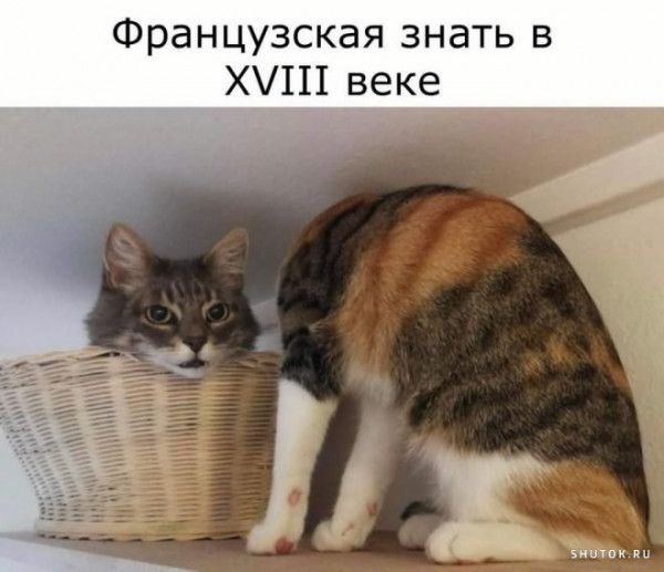 Французская знать в Х1Н веке