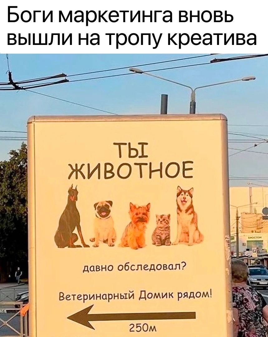 Боги маркетинга вновь вышли на тропу креатива ТЫ ЖИ ВОТНОЕ ЁЁ 2 давно обследовал Ветеринарный Домик ряддм Е 250м