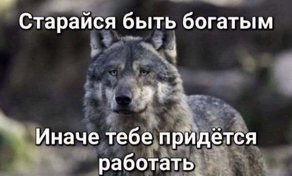 Старайся быть богатым и Иначе тебе дпр ет я работать ЧС