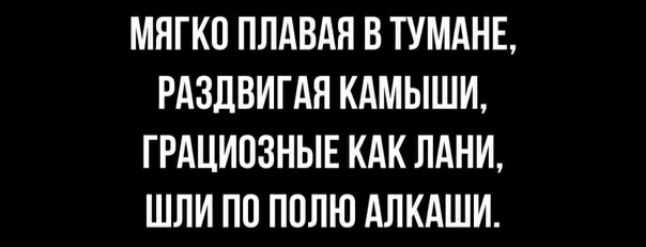 МПГКО ПЛАВАЯ В ТУМАНЕ РАЗЛВИГАН КАМЫШИ ГРАЦИПЗНЫЕ КАК ЛАНИ ШПИ ПП ПППЮ АЛКАШИ