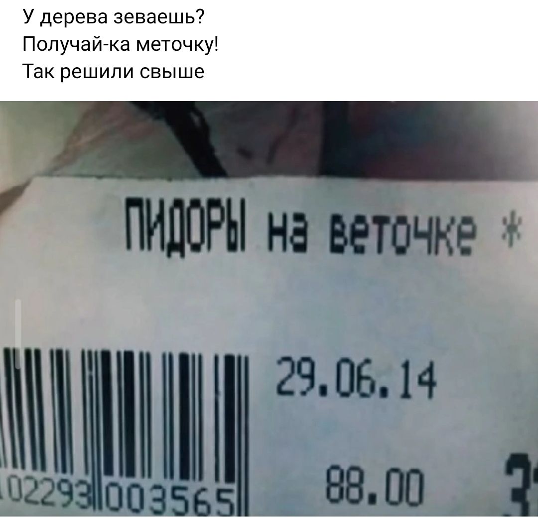 У дерева зеваешь Получайма меточку Так решили свыше