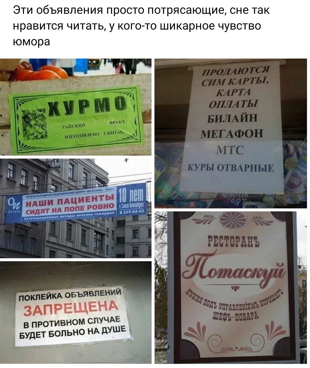 Эти обьявления просто потрясающие сне так нравится читать у кого то шикарное чувство юмора иде пютивипи ст Будет ведьма НА пуп Е