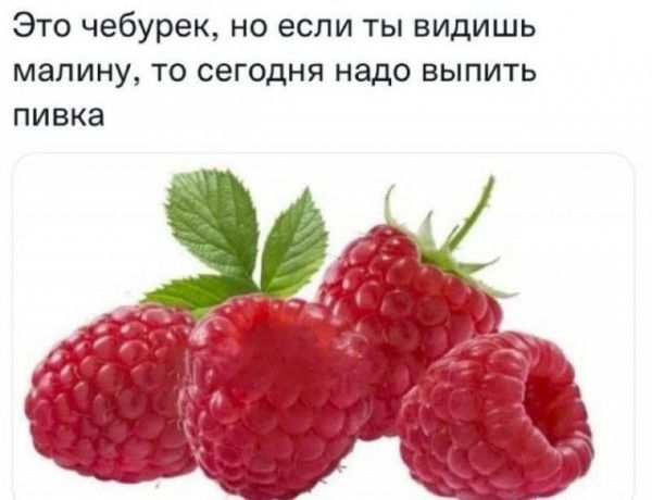 Это чебурек но если ты видишь малину ТО СЕГОДНЯ НЗДО БЫПИТЬ ПИВКЗ