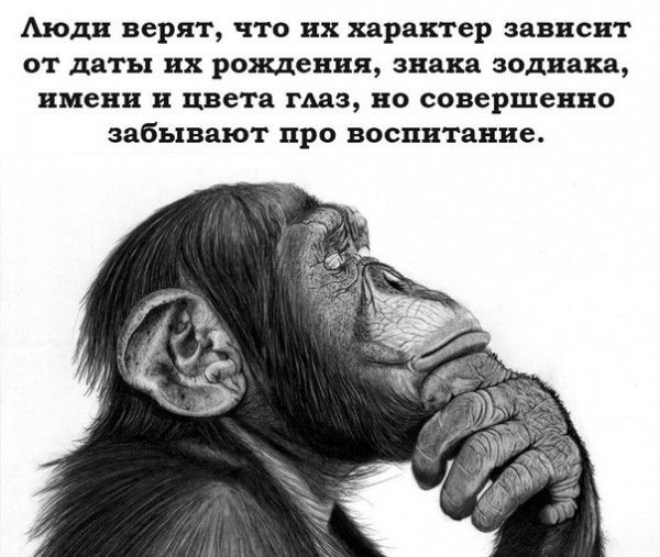 Аюди верят что их характер зависит от даты их рождения вины зодиака имени и цвета гпа но совершенно забывают про воспитание