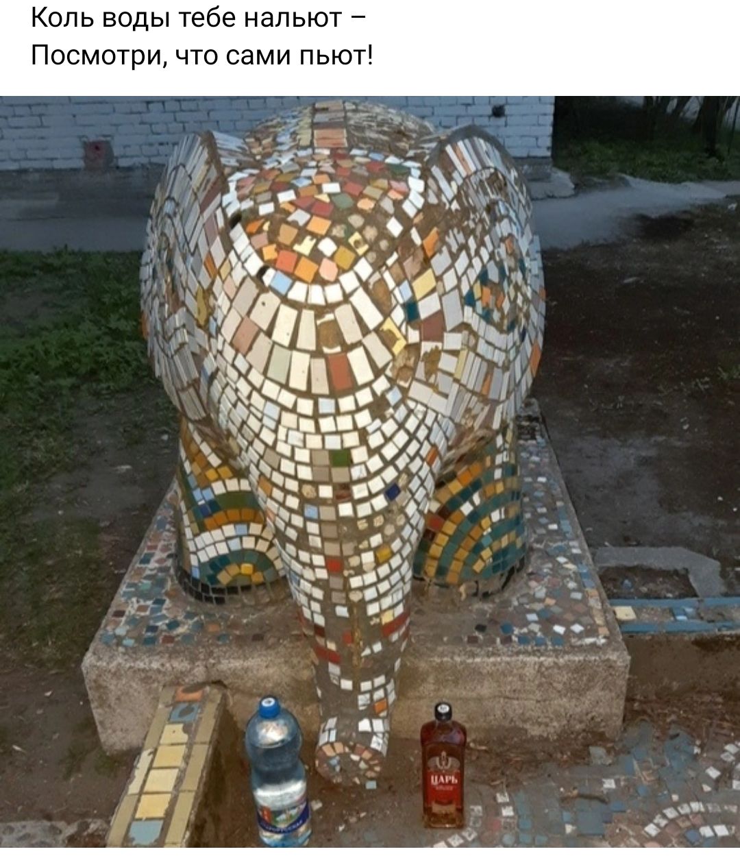 Коль воды тебе нальют Посмотри что сами пьют