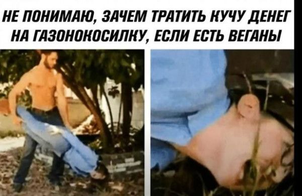ИЕ ланимлю ЗАЧЕМ ТРАТИТЬ ИУЧУ ДЕНЕГ д ГАЗПНШШЬИЛКУ ЕСЛИ ЕШЬ ВЕГЛИЫ