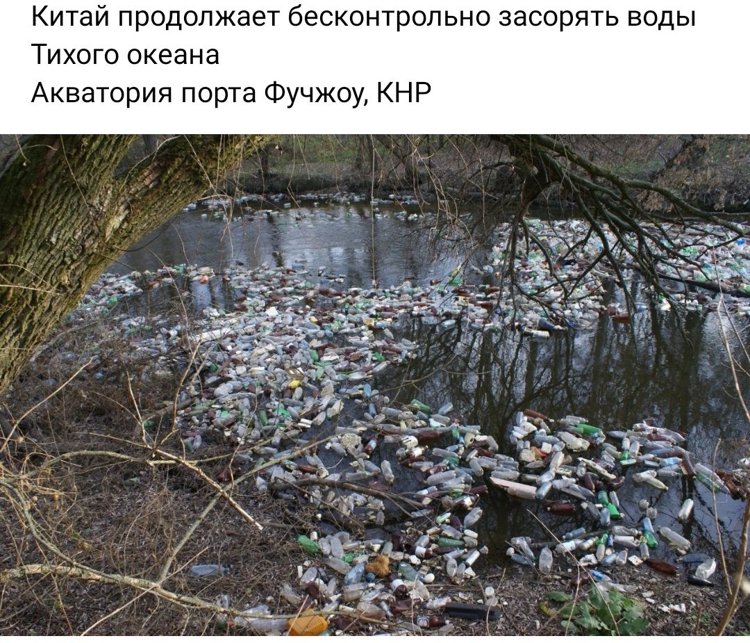 Китай продолжает бесконтрольно засорять воды Тихого океана Акватория порта Фучжоу кнр