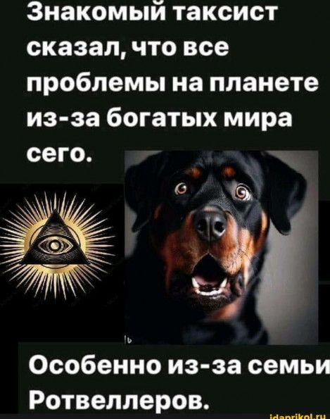 знакомый таксист сказал ЧТО все проблемы на планете из за богатых мира сего 533 ы Особенно из за семьи Ротвеллеров