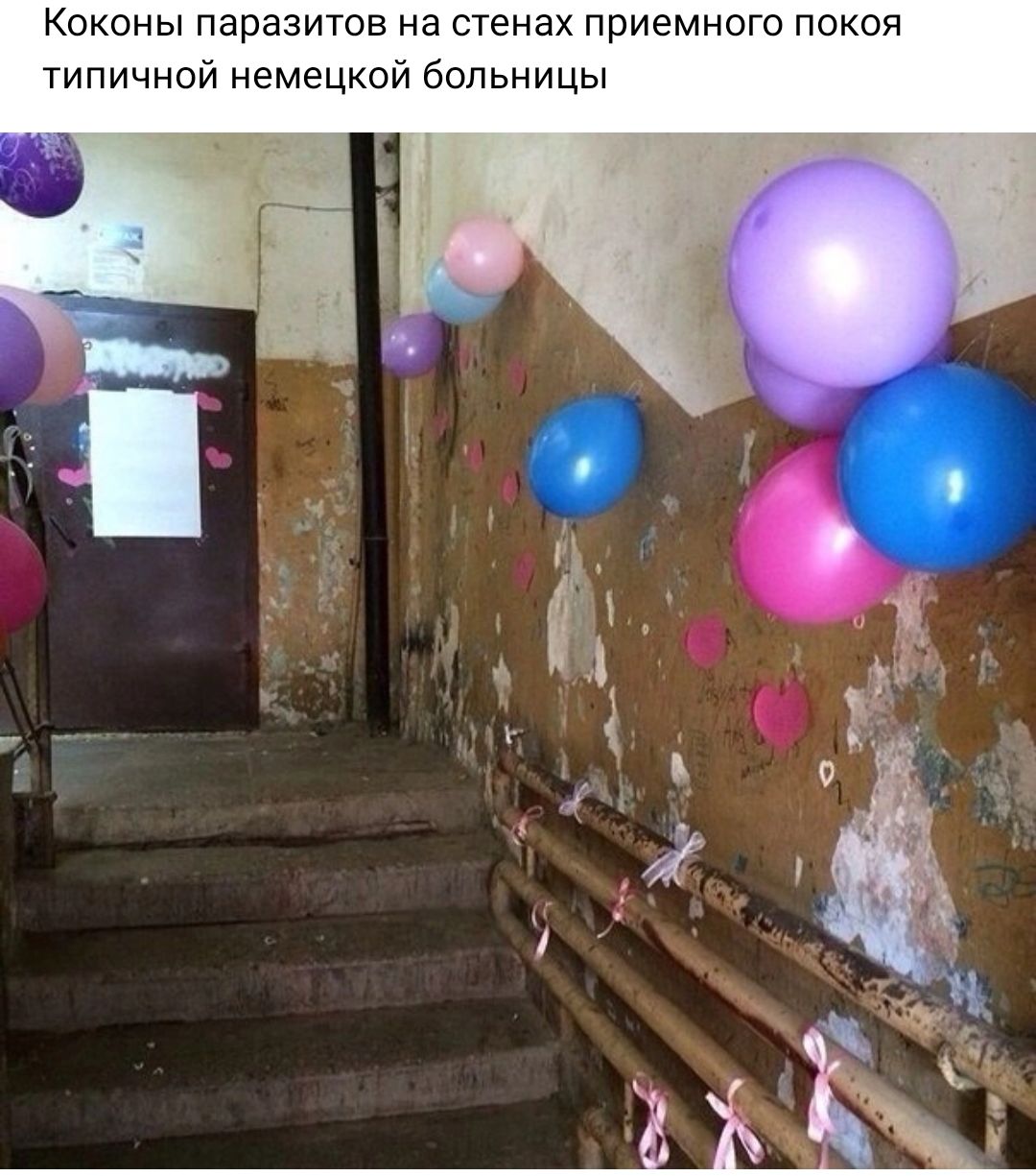 ононы паразитов на стенах приемного покоя типичной немецкой больницы