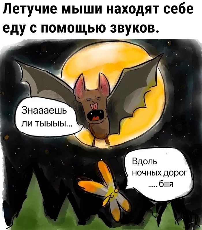 Летучие мыши находят себе еду с помощью звуков 15 С у 1 Знаааешь _ пи тыыыь _ щ Вдоль ночных дорог б я