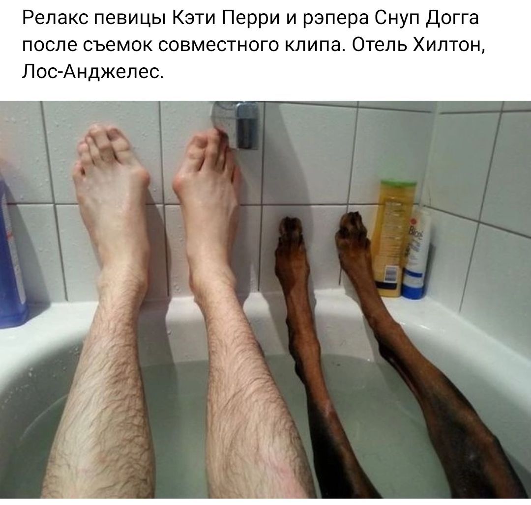 Релакс певицы Кэти Перри и рэпера Снуп Догга после съемок совместные клипа Отель Хилтон Лос Анджелес