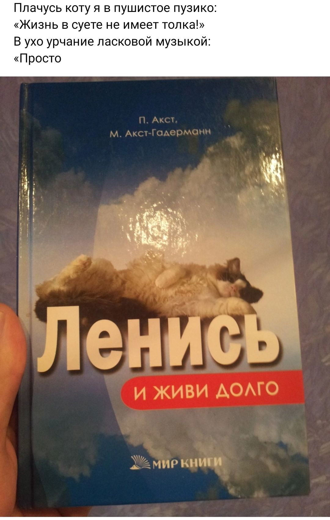 Ппачусь коту я пушистое пузико Жизнь в суете не имеет топка ухо урчание ласковой музыкой Проста