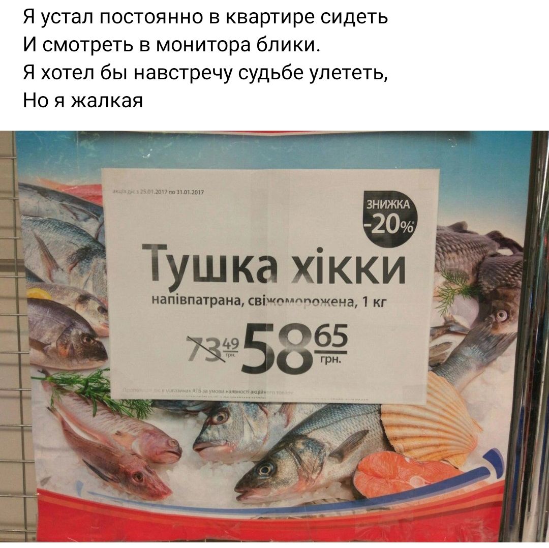 я устал постоянно в квартире сидеть и смотреть в мпнитора блики я хотел бы навстречу судьбе улететь Но я жалкая