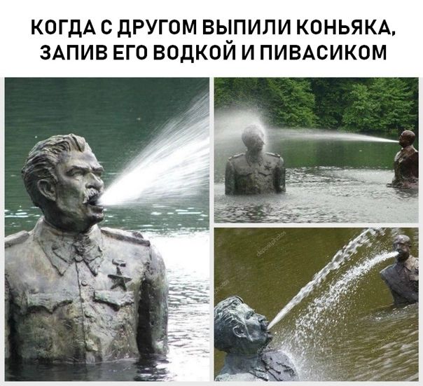 КОГДА С дРУГОМ ВЬЗПИЛИ КОНЬЯКА ЗАПИВ ЕГО ВОДКОИ И ПИВАСИКОМ