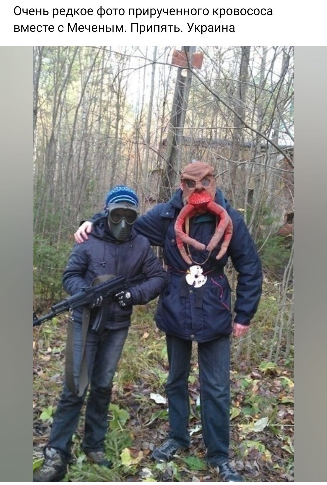 Очень редкое фото прирученного кровососа вместе с Мече ным Припять Украина