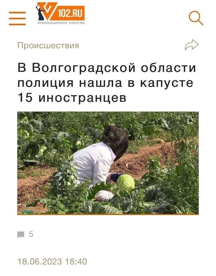 Пирит М атмч В Волгоградской области полиция нашла в капусте 15 иностранцев