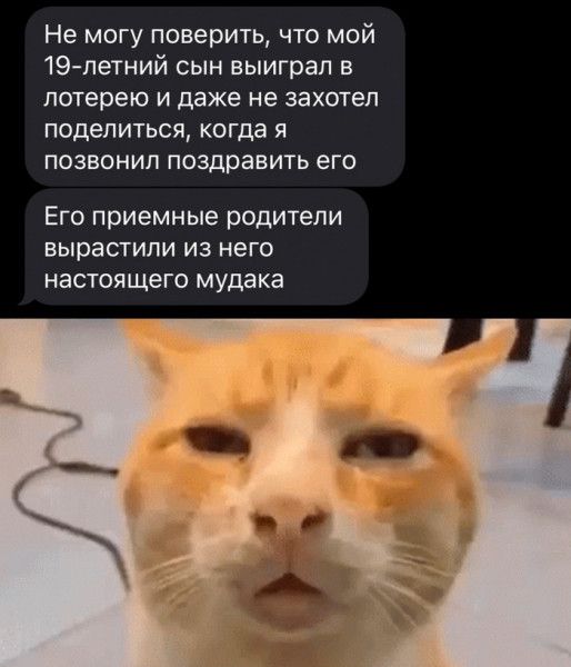 Не могу поверить что мой 19 летний сын выиграл в лотерею и даже не захотел поделиться когпг я ПОЗЕОНИП ПОЗДРЗВИТЬ ЕГО Его приемные родители вырастили из него настоящего мудака
