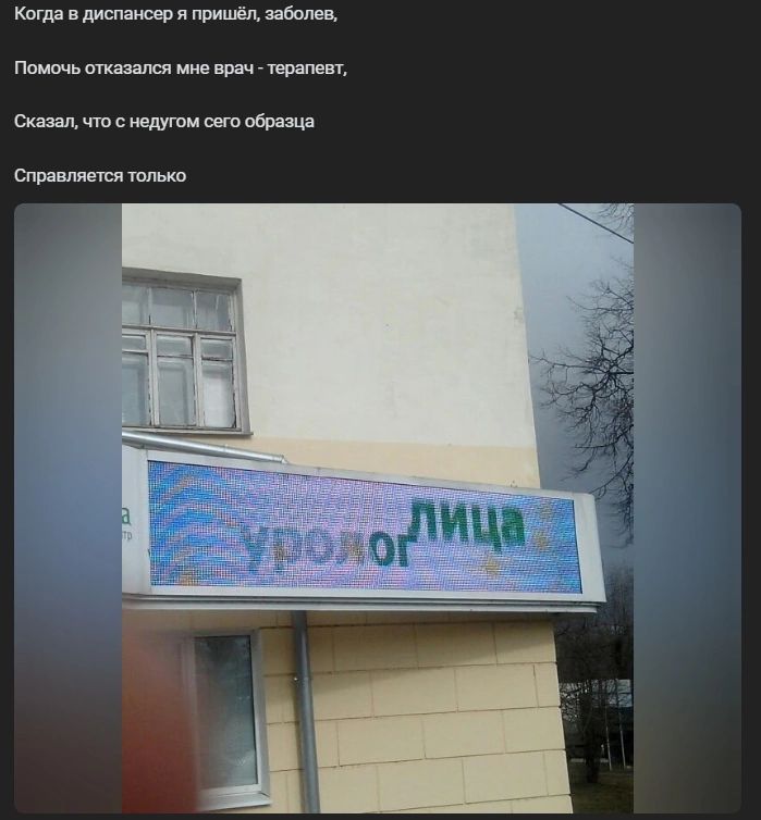 к лисиц зв пришёл ибпчи Птичьишшвч мм но тім т с щую пвп Спи липы ц