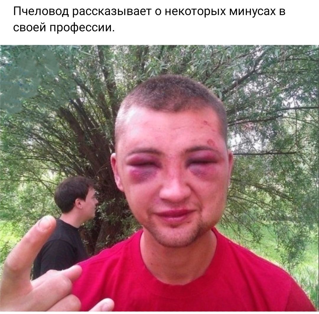 Пчеловод рассказывает о некоторых минусах а своей профессии