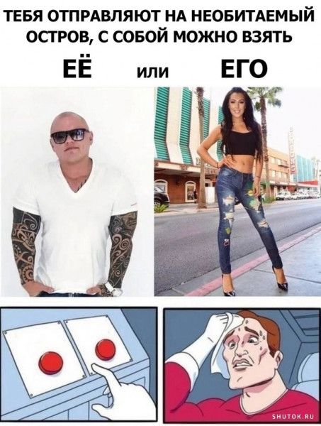 тевя отпрдвляют нд неовитдемый остров с совой можно взять ЕЁ или ЕГО