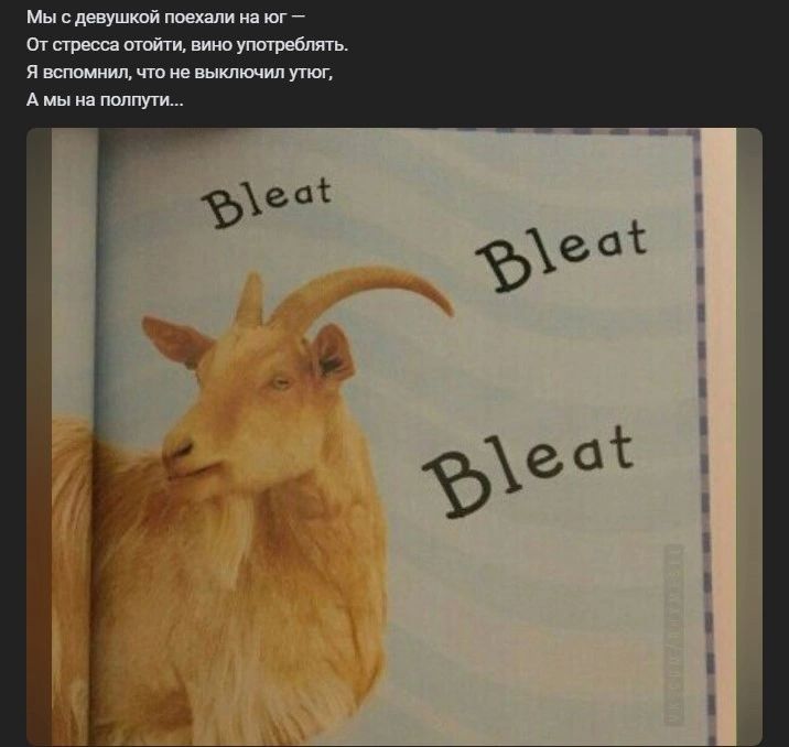 мсцщмшмидп_ тпмазмшюпмш Чищтицтшт димт