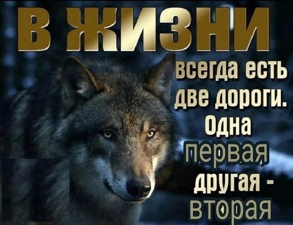 _В ЖИЗНМ всегда есть две дЩШШ одна первая чііг лишай втерая