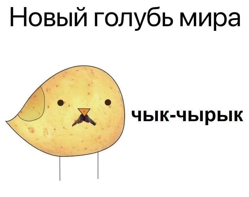 Новый голубь мира ЧЫК ЧЫРЫК