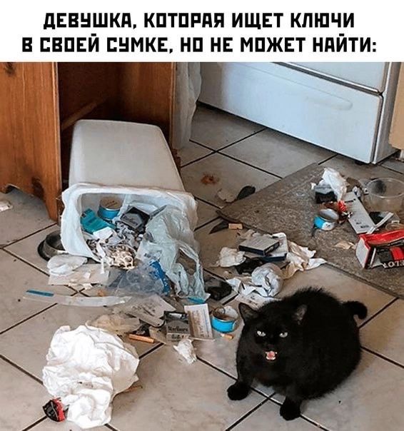 дЕЕН_ШКд КПТПРЯП ИЩЕТ КПЩЧ_И В ЕЕПЕИ ЕНМКЕ НП НЕ МПЖЕТ НПИТИ