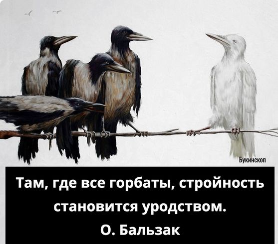 Букиишп Там где все горбаты стройность СТВНОВИТСЯ уродством О Бальзак